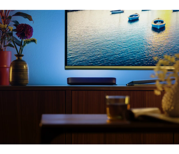 Philips Hue zestaw startowy: 2  lampy Play + Bridge Pro - 1490243 - zdjęcie 6